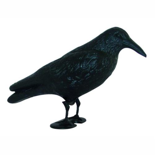 FÅGELSKRÄMMA KRÅKA