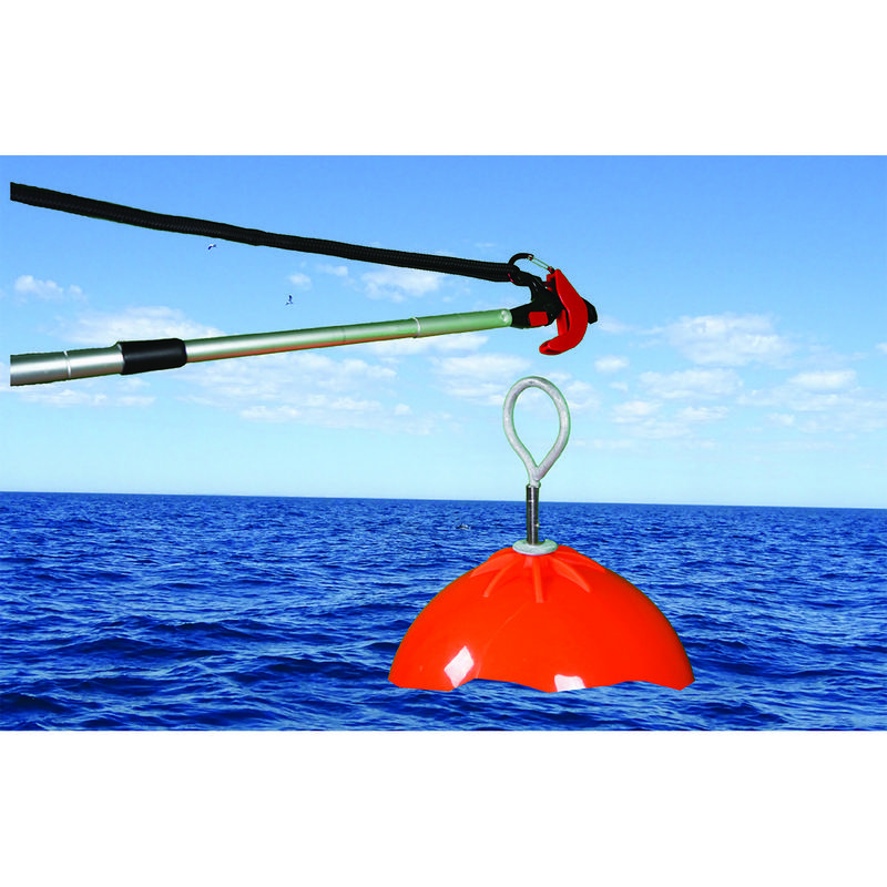 Scrubbis Catching Boat Hook