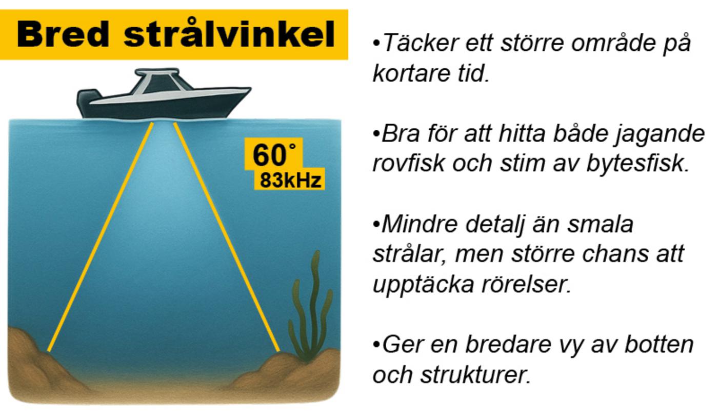 Ekolod från SeaSea Båttillbehör - hitta rätt ekolod för fiske och säker navigering på sjön