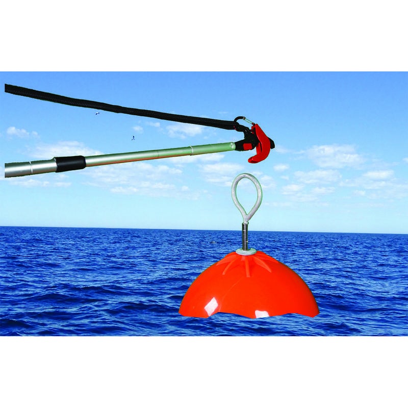 Scrubbis Catching Boat Hook