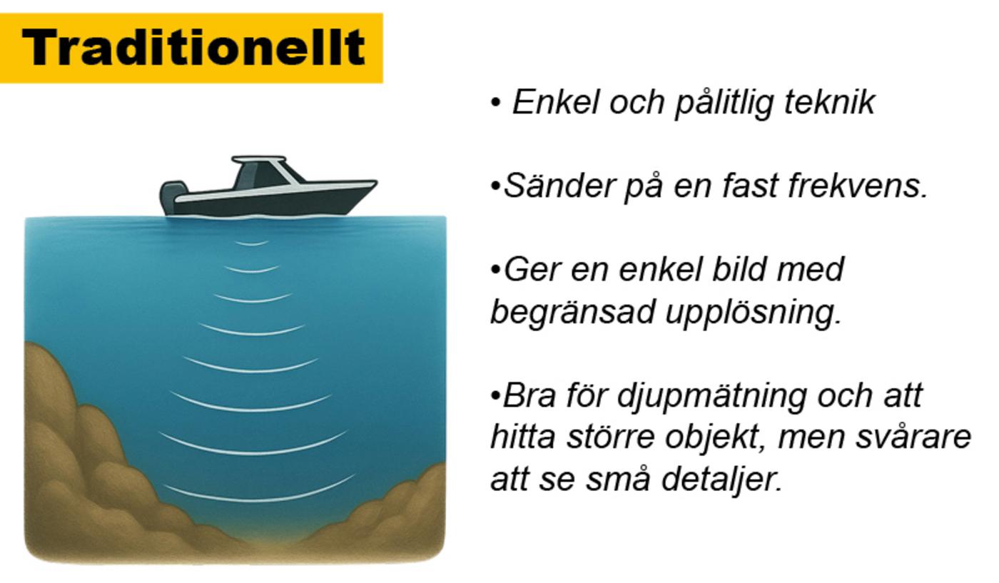 Detaljerad bild av undervattensmiljön med ekolod från SeaSea Båttillbehör